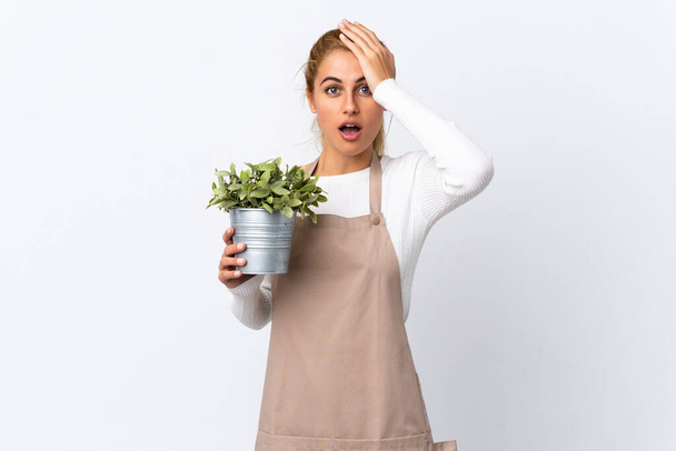 Молода блондинка садівник дівчина тримає рослину над ізольованим білим тлом з несподіваним виразом обличчя
 - Фото, зображення