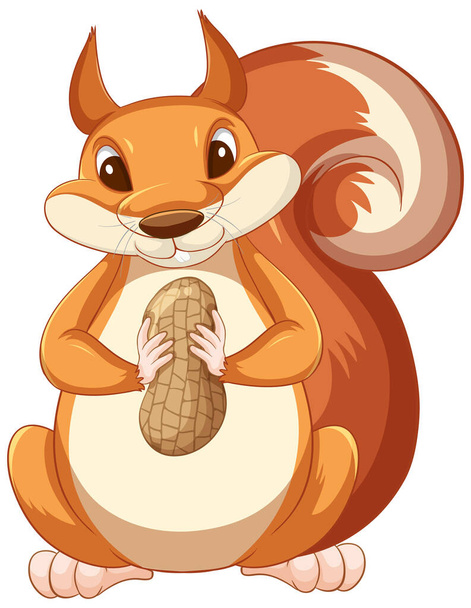 Cute cartoon squirrel holding peanut on white background illustration - Vector, Image