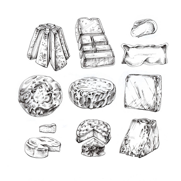 cheese, soft variety, set of illustrations, sketch, drawing black lines on a white background cheese, soft variety, set of illustrations, sketch, drawing black lines on a white background - Photo, image