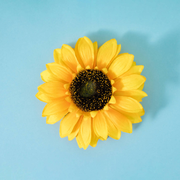 Sommerszene mit gelben Sonnenblumen im Wasser. Sonne und Schatten. Minimaler Hintergrund der Natur. Flaches, kreatives Konzept. - Foto, Bild