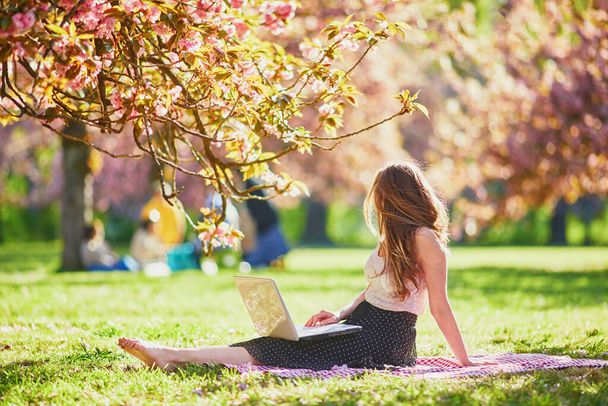 Beautiful young girl working on her laptop in park during cherry blossom season. Young woman in famous Park of Sceaux near Paris, France. Freelance, distance learning or remote work concept - Фото, изображение
