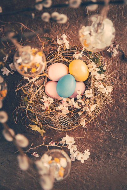 Nest with Easter eggs and blooming branches with pussy willow branches decorated  in vintage style - Foto, imagen