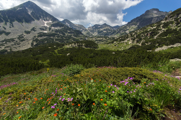 Pirin Mountain Paesaggio
 - Foto, immagini