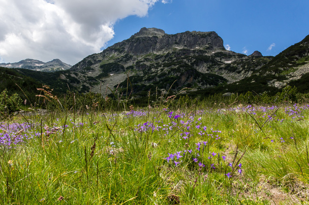 Pirin Mountain Paesaggio
 - Foto, immagini