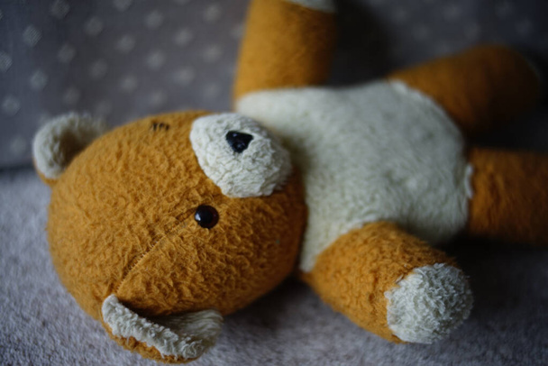 teddy bear with a toy on a wooden background - Fotoğraf, Görsel