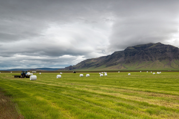 Hay fields - Foto, Bild