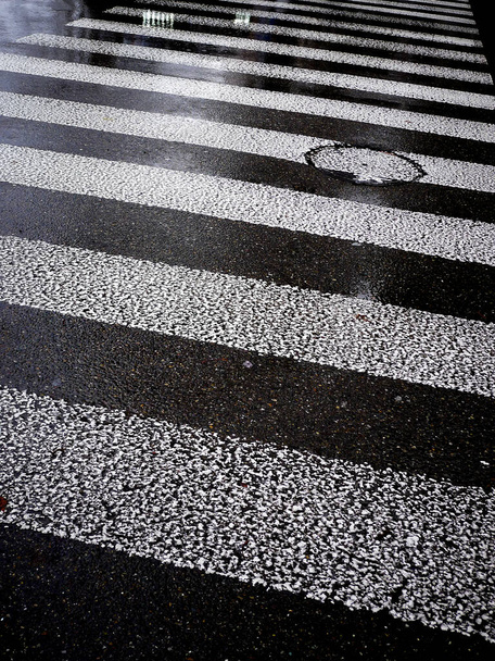 Υγρός ασφαλτοστρωμένος δρόμος με ζέβρα σε λευκές γραμμές. - Φωτογραφία, εικόνα