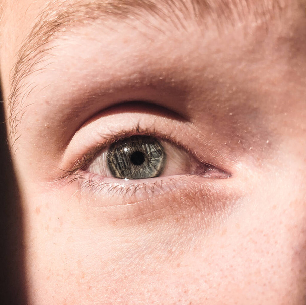 De cerca o macro de un ojo verde de un hombre caucásico - Foto, imagen