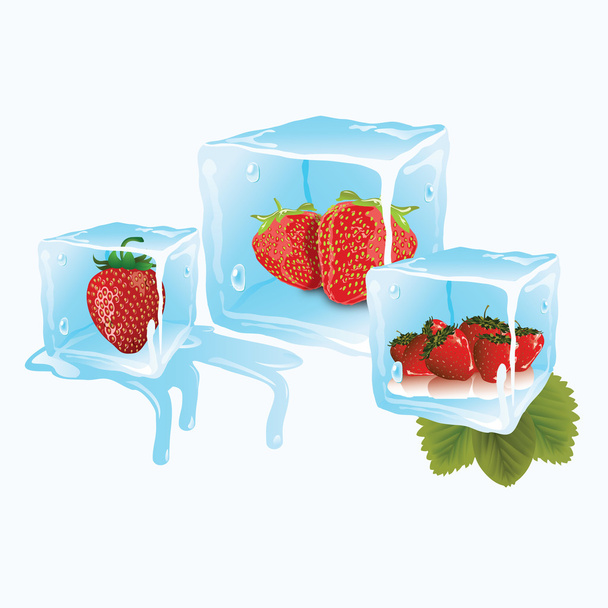 Erdbeere in Eiswürfeln - Vektor, Bild