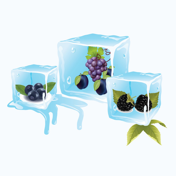 Blueberries in ice cubes - Vector, imagen