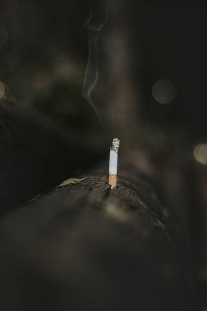 cigarette with smoke on a black background - Φωτογραφία, εικόνα