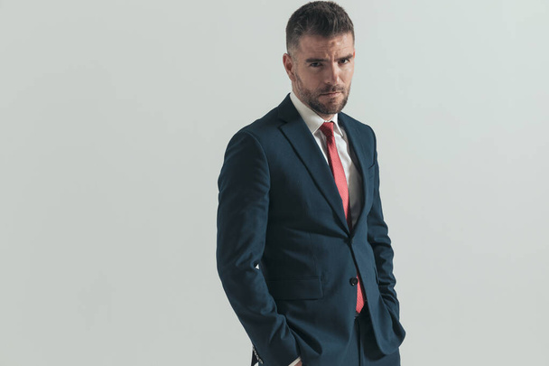 sexy bearded guy in elegant suit holding hands in pockets and posing on grey background in studio - Photo, Image