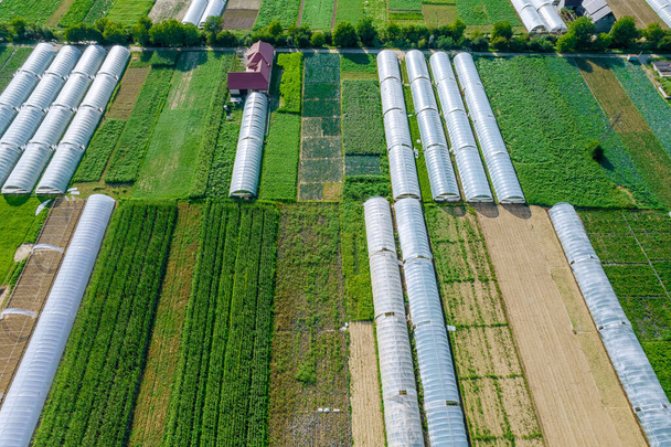Βιομηχανικά αγροτικά θερμοκήπια για καλλιέργεια λαχανικών, φυτεμένα χωράφια κοντά σε σπίτια. Αεροφωτογραφία. Γεωργικές επιχειρήσεις. - Φωτογραφία, εικόνα