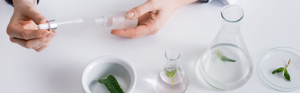 cropped view of laboratory assistant holding serum with pipette near aloe in bowl and flasks with liquid, banner - Photo, image
