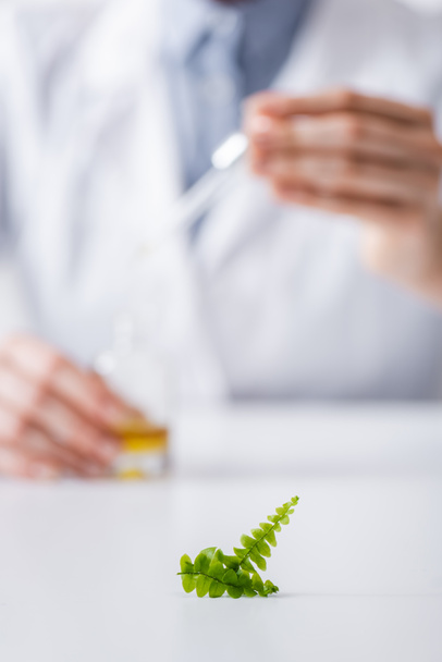 small fern leaves near blurred laboratory assistant - Foto, afbeelding