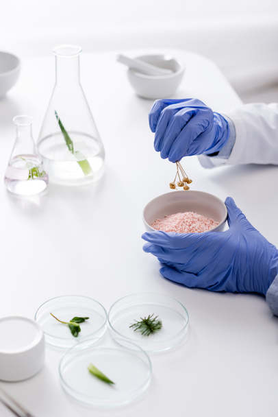 vista recortada del asistente de laboratorio en guantes de látex sosteniendo flores secas cerca del tazón con polvo - Foto, Imagen