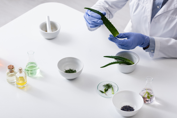 rajattu näkymä laboratorio avustaja lateksi käsineet tilalla aloe lehtiä lähellä kasveja ja pulloja laboratoriossa - Valokuva, kuva