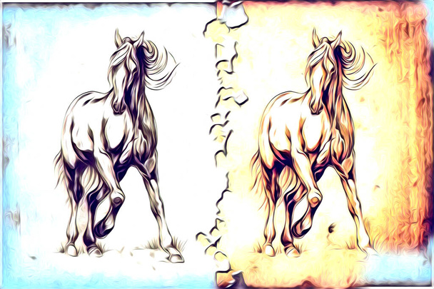 freehand hevonen pää lyijykynä piirustus kuvittaja grunge
 - Valokuva, kuva