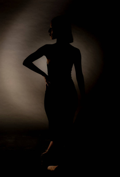 Perfect silhouet van elegante vrouw in zwarte jurk en puntschoenen - Foto, afbeelding