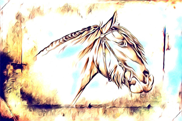 mano alzada caballo cabeza lápiz dibujo ilustrador grunge
 - Foto, Imagen