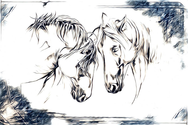 tête de cheval à main levée crayon dessin illustrateur grunge
 - Photo, image