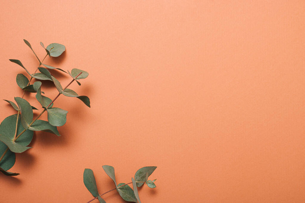 Layout criativo feito de folhas verdes no fundo laranja marrom pastel. Conceito de mola mínima com espaço de cópia. - Foto, Imagem