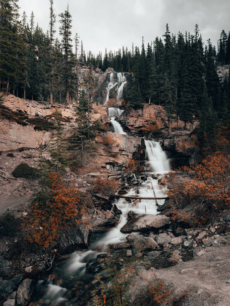 beautiful waterfall in the forest - Foto, imagen