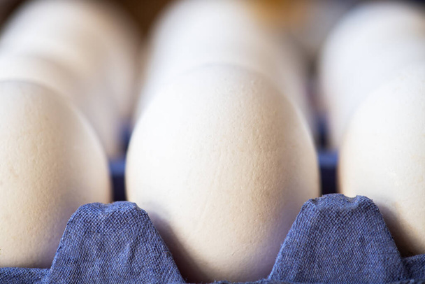 Whole white egg in a carton. Macro photography. Selective focus. - Foto, Imagem