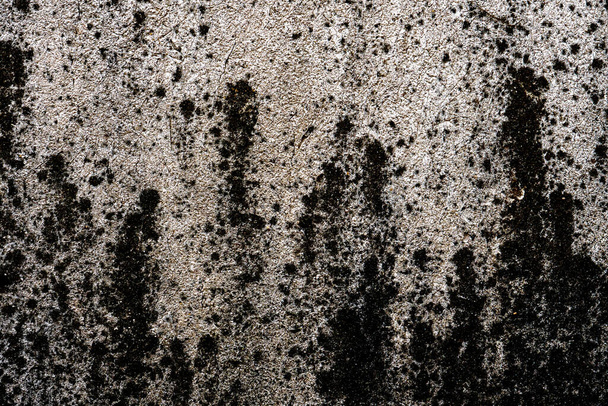 Lekeli yıpranmış bir duvar - Fotoğraf, Görsel