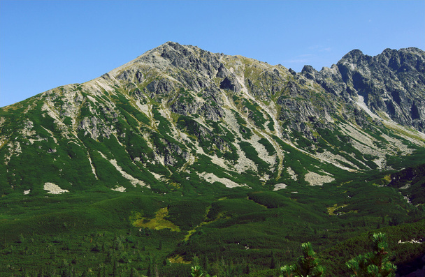 Pico en Tatras
 - Foto, imagen