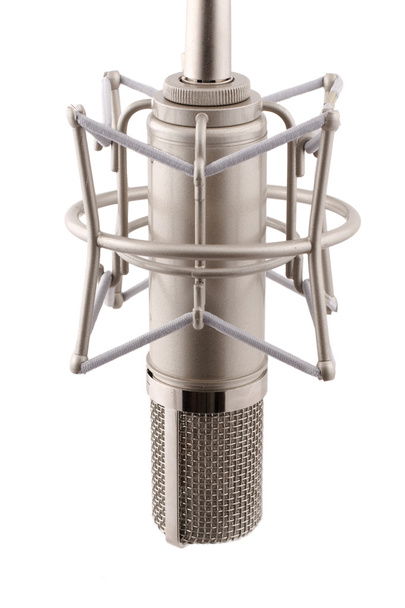 Proffecional studio microphone - Φωτογραφία, εικόνα