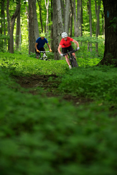 A couple riding their mountain bikes on single track trail in Ontario, Canada - Photo, Image