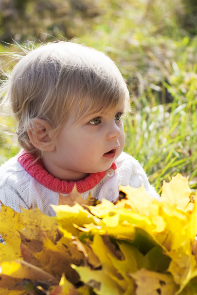 Baby girl with autumn leaves - Zdjęcie, obraz