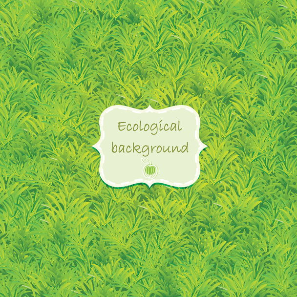 Green grass background - Vector, Imagen