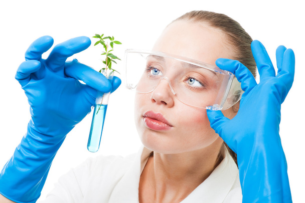 Genetic modified plant - Foto, immagini