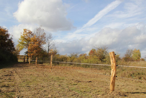 Cerca de pastos de nueva construcción construida con postes de acacia y alambre conductor - Foto, imagen