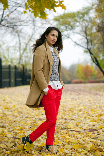 Jeune femme en manteau de mode marche dans le parc d'automne
 - Photo, image