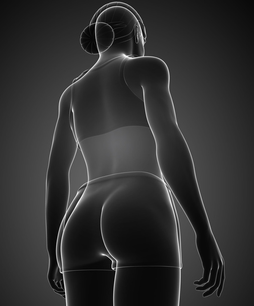 Female body artwork - Foto, Bild
