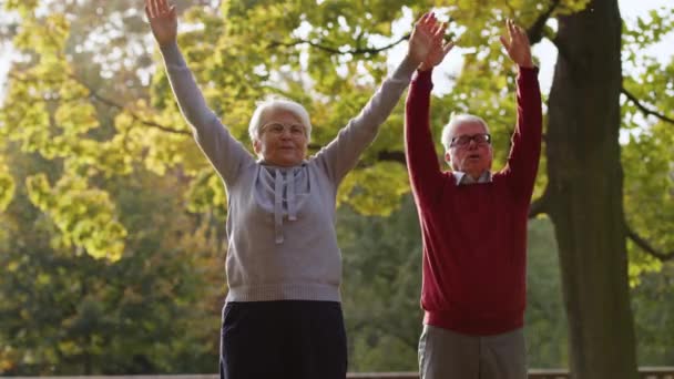 Senior kaukasischen Paar macht Übungen zusammen im Park glücklich Ruhestand gesunden Lebensstil Konzept selektive Fokus Medium Schuss  - Filmmaterial, Video