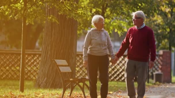 Senior valkoihoinen pari puhuu ja pitää kädestä liikkuvat kohti kamerapuisto tausta kopioi tilaa täynnä  - Materiaali, video