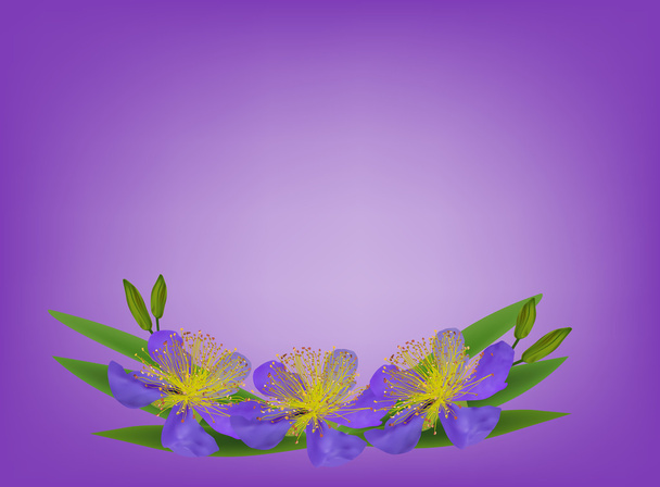 drie bloemen - Vector, afbeelding
