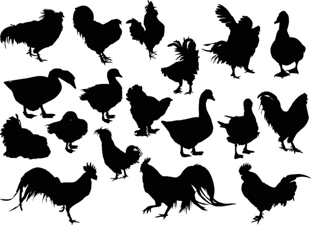 Siyah Çiftlik kuş silhouettes - Vektör, Görsel