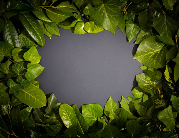 Creative layout made of green leaves. Flat lay. Nature background. - Foto, Imagen