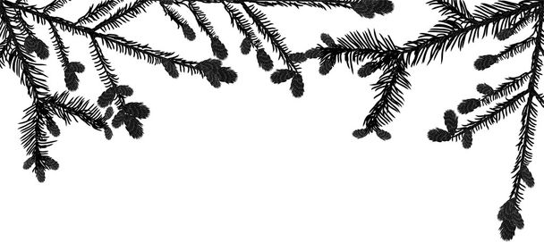Gałęzie jodły czarny - Wektor, obraz