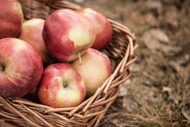 manzanas rojas en cesta - Foto, imagen