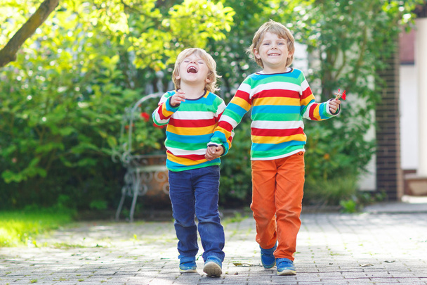 Two little sibling kid boys in colorful clothing walking hand in - Photo, Image
