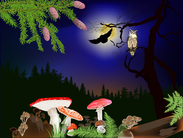 Mushrooms and owls - Vector, Image