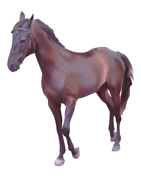Single horse - Vector, Image