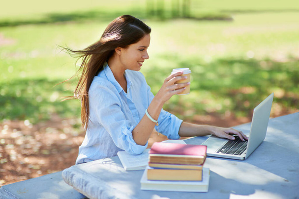 Güneş ışığı çalışma zamanı. Dizüstü bilgisayarı ve kitaplarıyla parkta oturan genç ve güzel bir öğrencinin fotoğrafı.. - Fotoğraf, Görsel