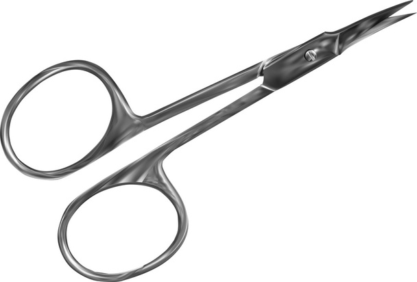 Manicure scissors - Vector, Image
